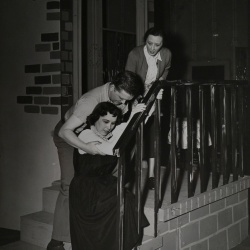 Glass Menagerie